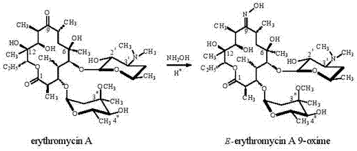 Method for directly preparing erythromycin oxime by utilizing erythromycin fermentation liquid