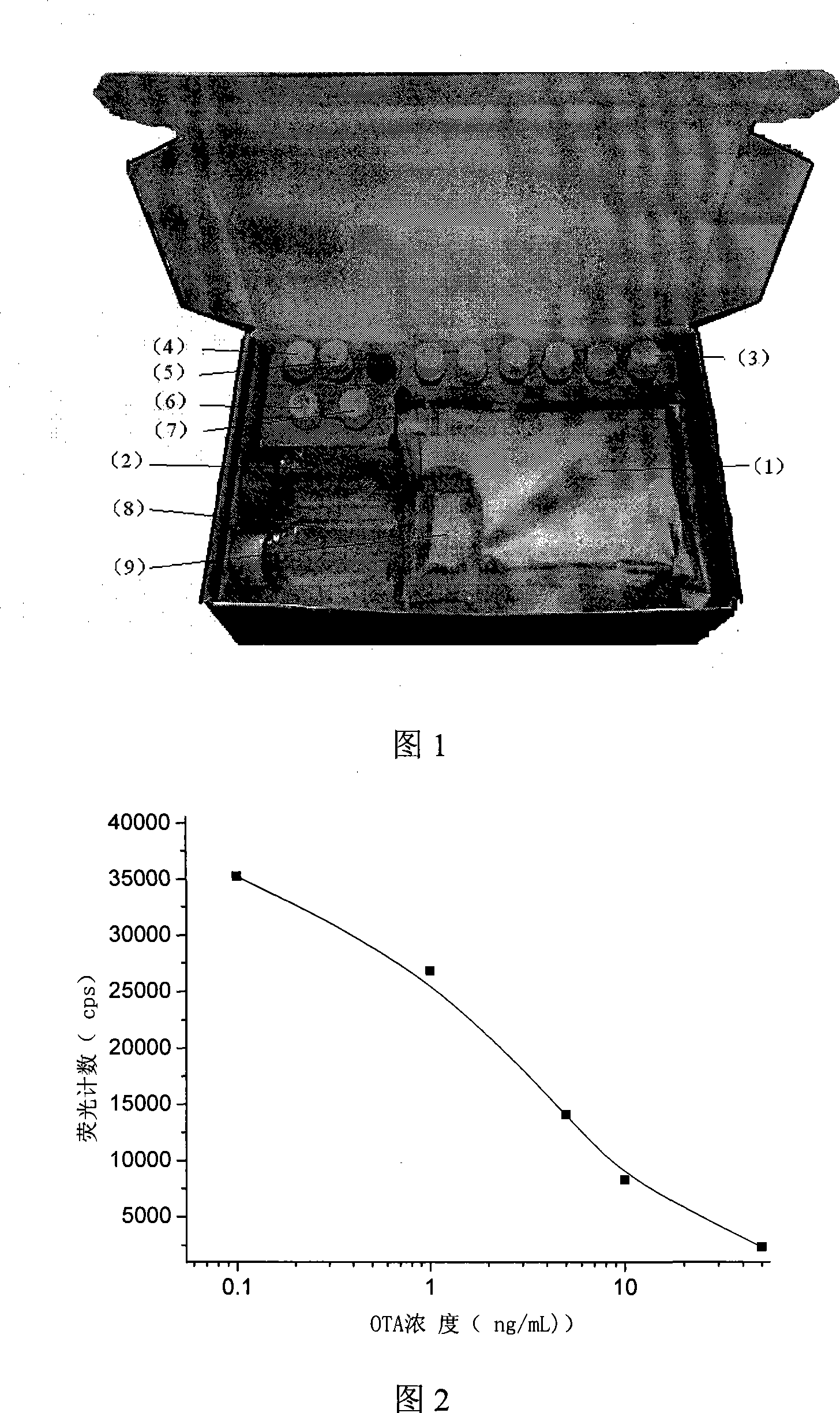 Reagent kit for simultaneously detecting ochratoxin A and aspergillus flavus toxin B1 and its detection method