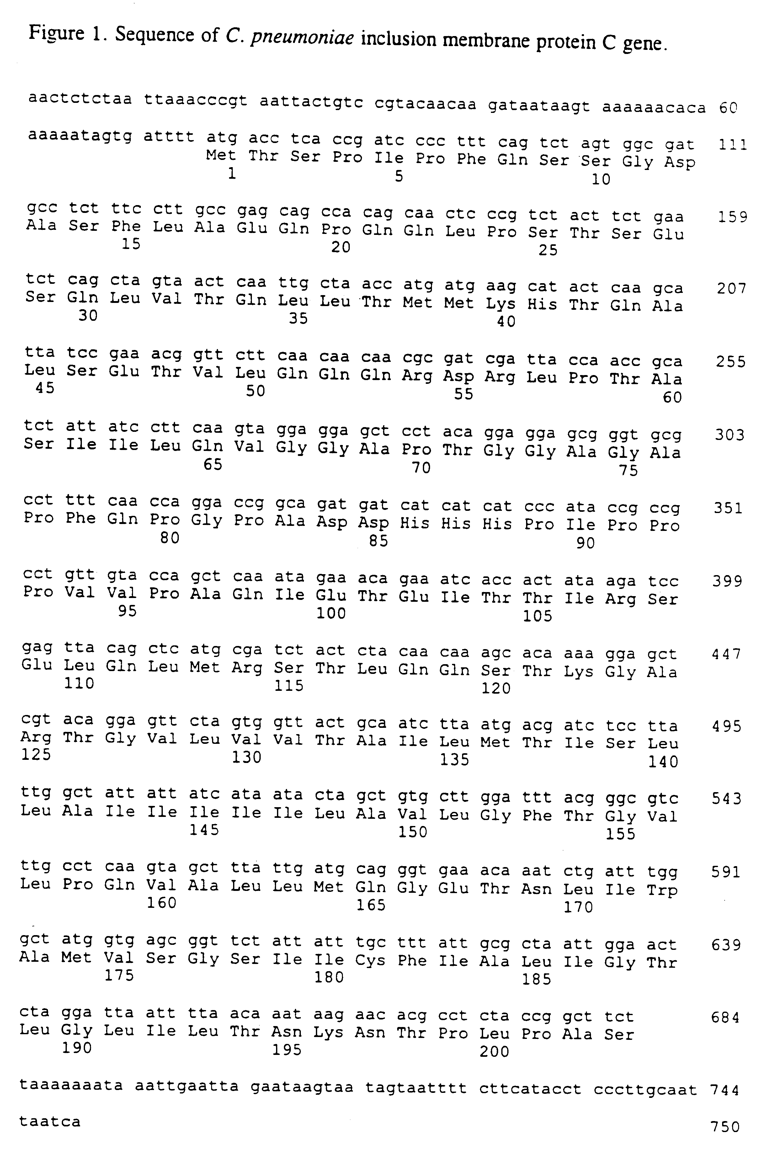 Nucleic acid molecules encoding inclusion membrane protein C of Chlamydia