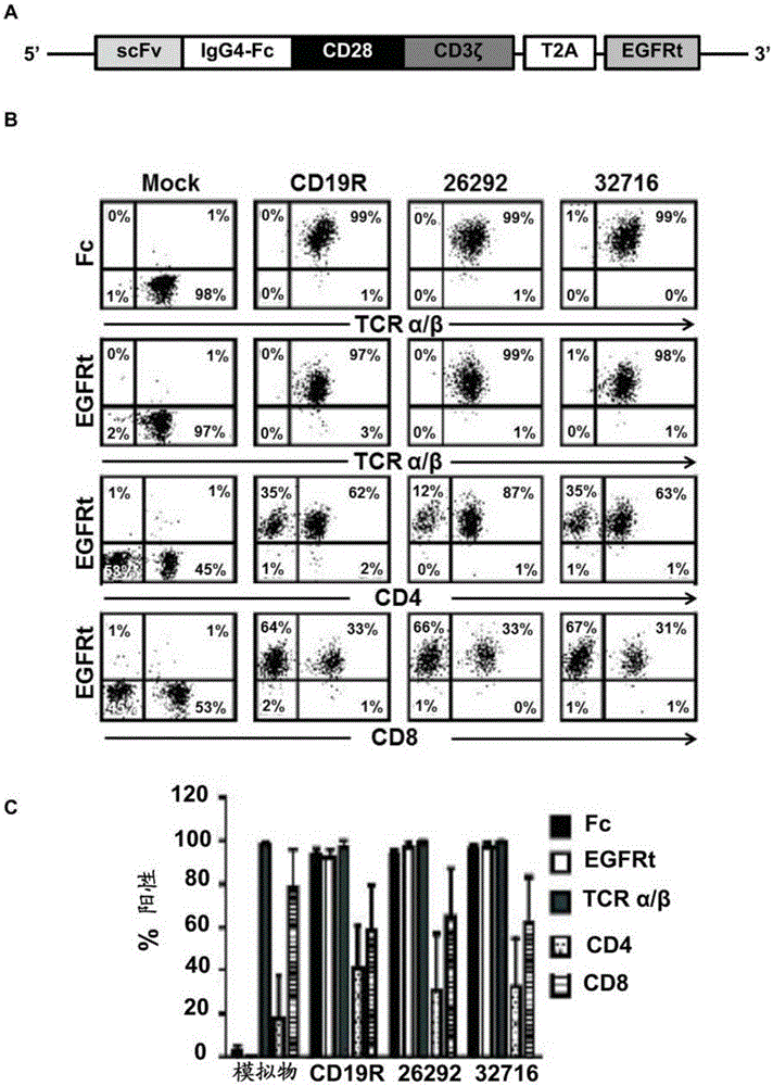 Cd123-specific chimeric antigen receptor redirected t cells and methods of their use