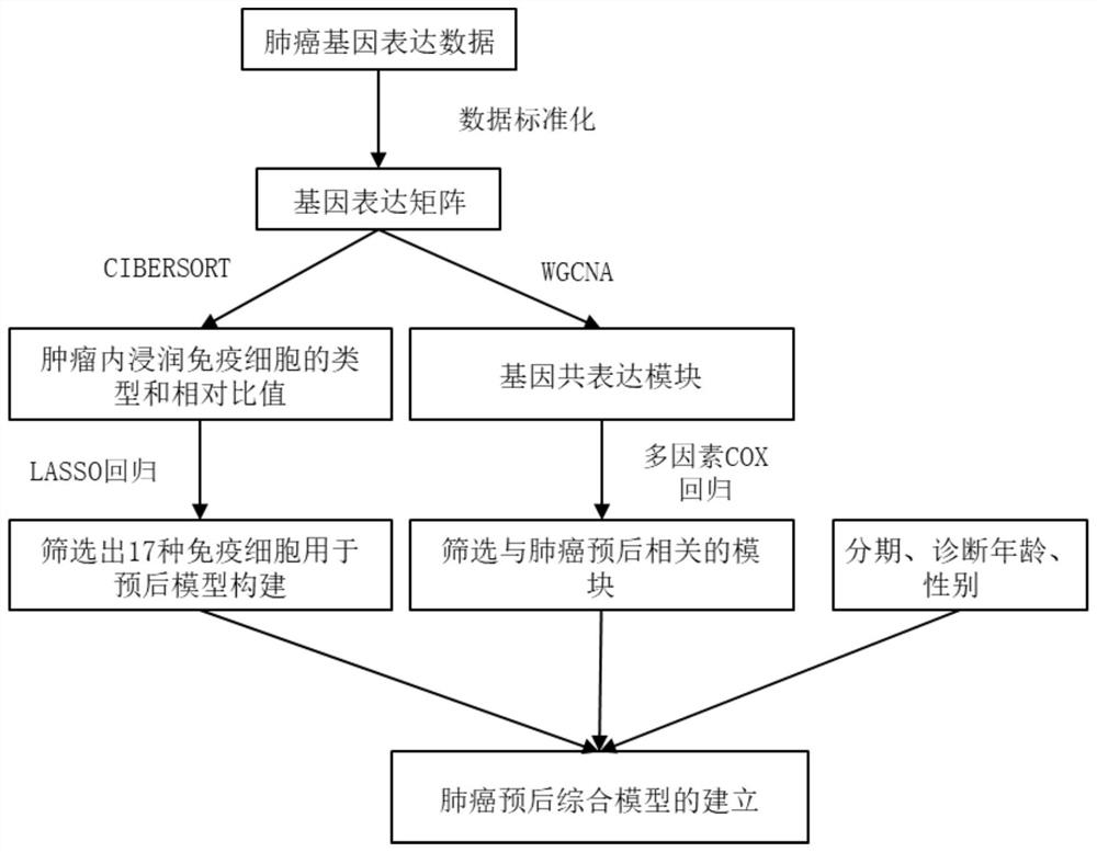 A comprehensive prediction model, construction method and device for lung cancer prognosis