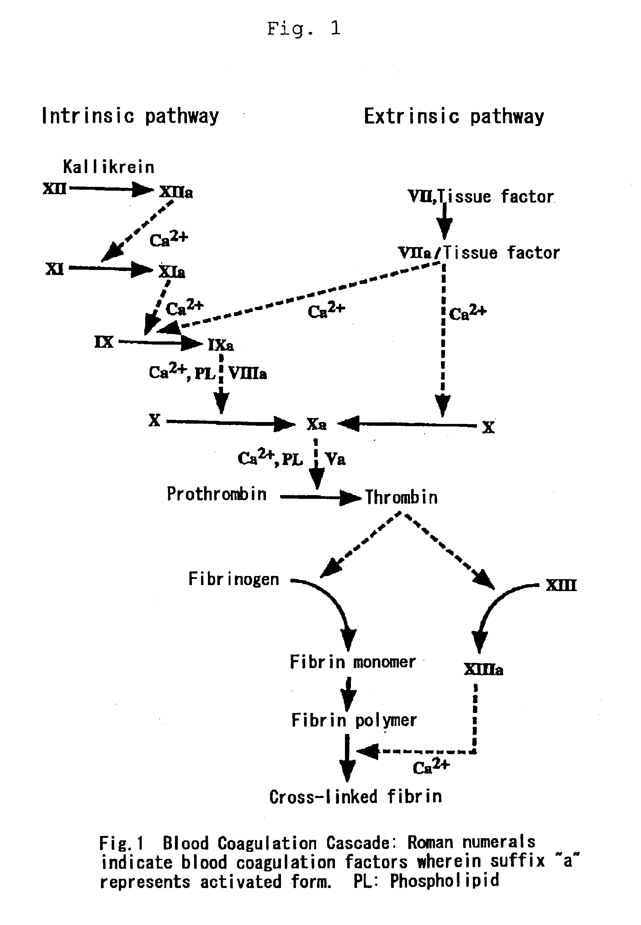 Medicinal compositions for treating and preventing diseases based on abnormal blood coagulation