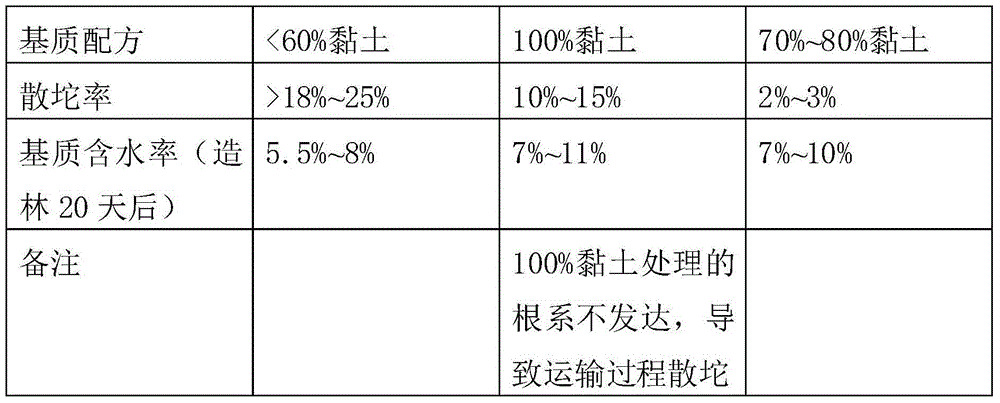 Method for Chinese pine seedling cultivation and afforestation in dry and stony sunny slope