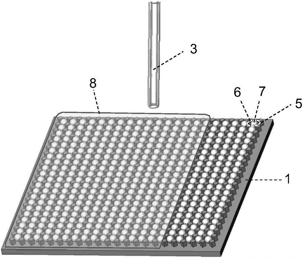 Apparatus for forming and screening two-dimensional liquid droplet array, and use method thereof