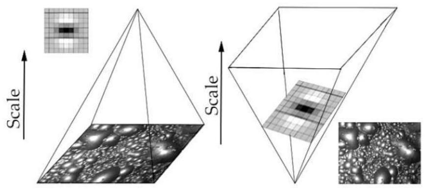 A Method of Extracting Flotation Foam Motion Feature Based on r-k Algorithm