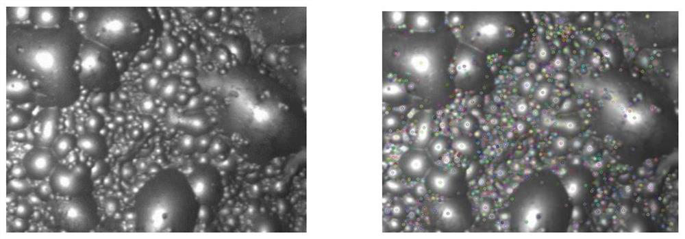 A Method of Extracting Flotation Foam Motion Feature Based on r-k Algorithm