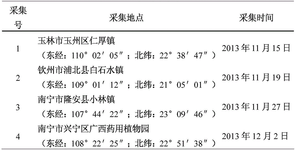 Method for accelerating germination and growing seedlings of millettia specisoa champ seeds in winter