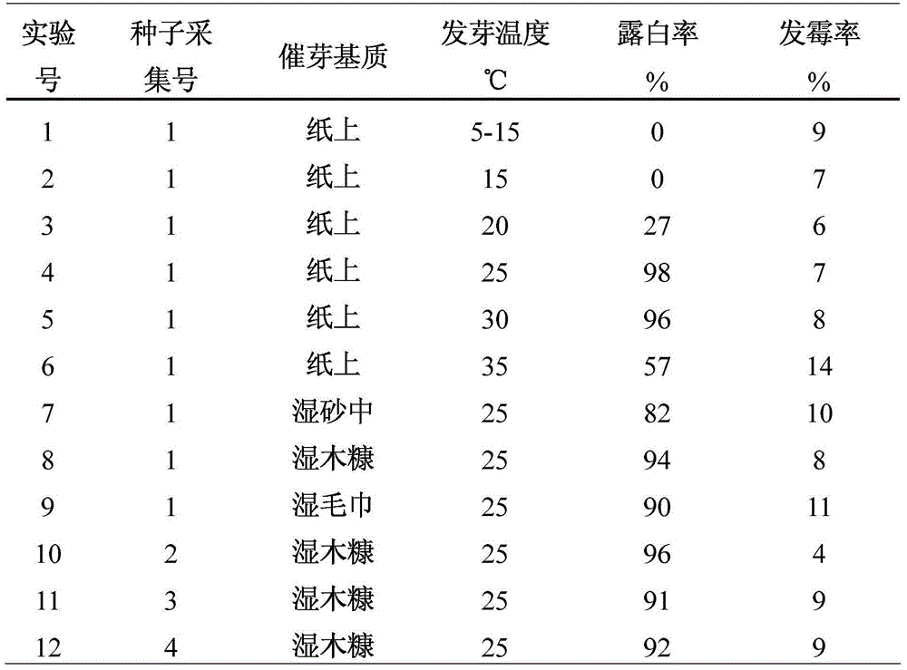 Method for accelerating germination and growing seedlings of millettia specisoa champ seeds in winter