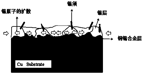 Chemical tin immersion plating solution used for suppressing tin whisker growth of printed circuit board and plating method