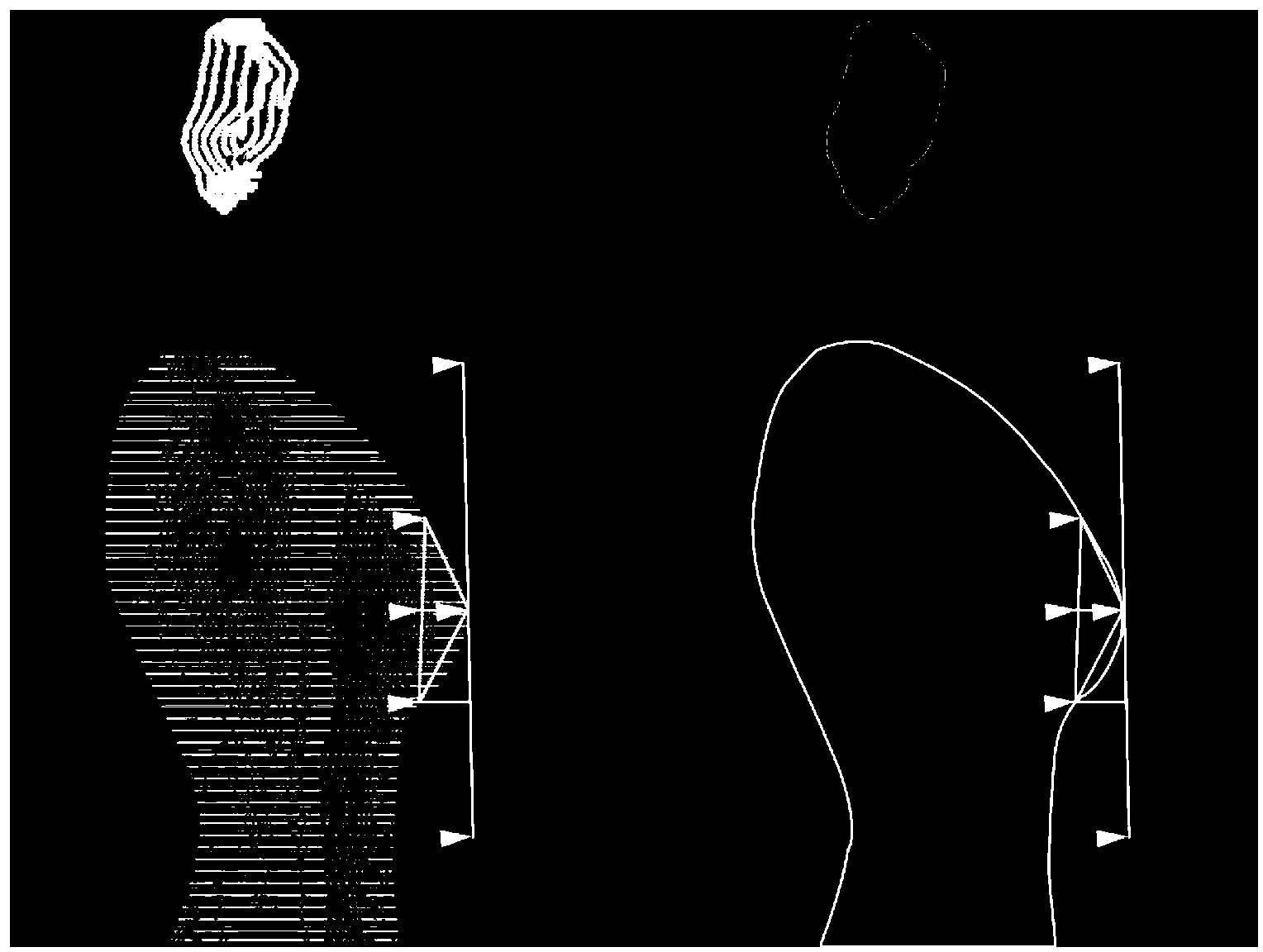 Method for measuring human body morphological characteristics