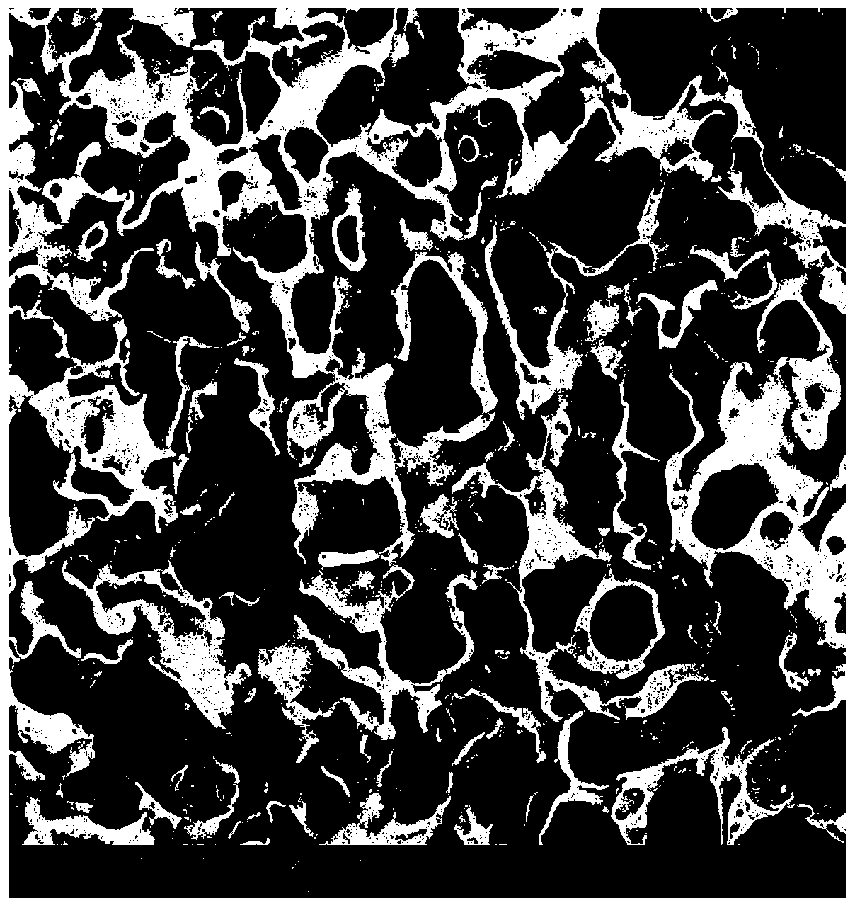 Polymer tissue engineering scaffold porous material with good pore connectivity and preparation method thereof