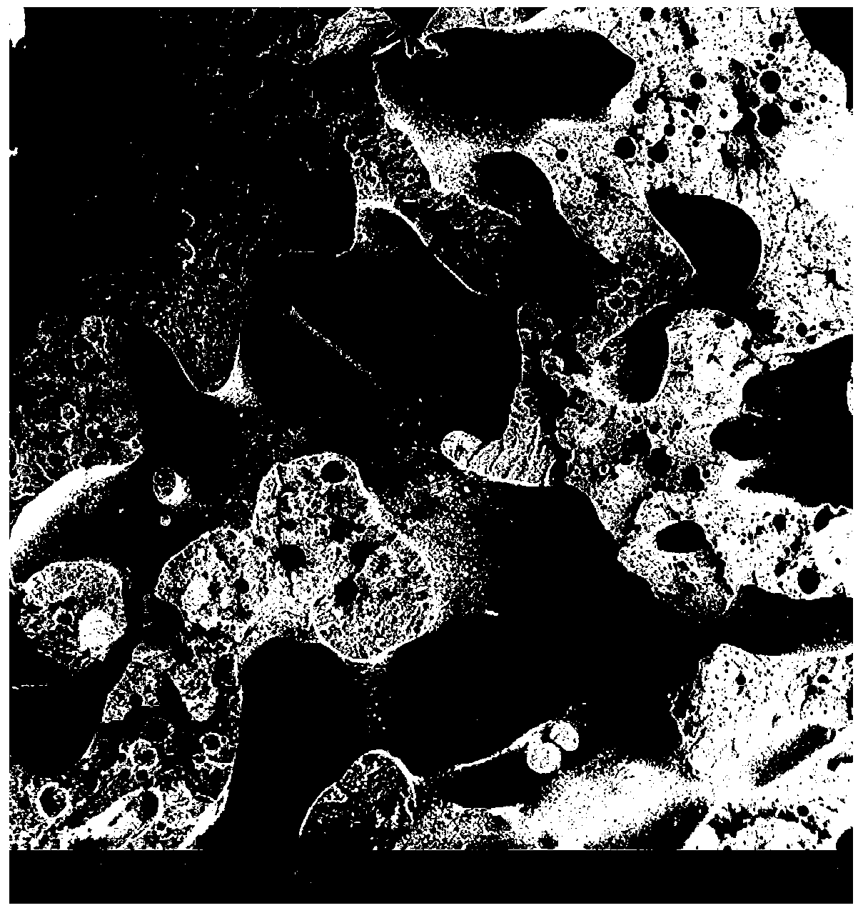 Polymer tissue engineering scaffold porous material with good pore connectivity and preparation method thereof