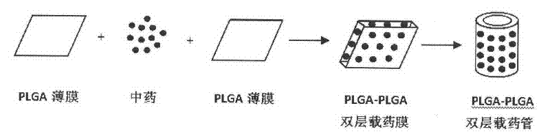 Biodegradable Traditional Chinese Medicine Sustained-release Insert and Preparation for Ischemic Revascularization of Lower Limbs