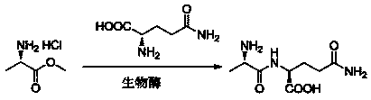 A kind of preparation method and process system of enzyme-catalyzed synthesis of glutamate dipeptide