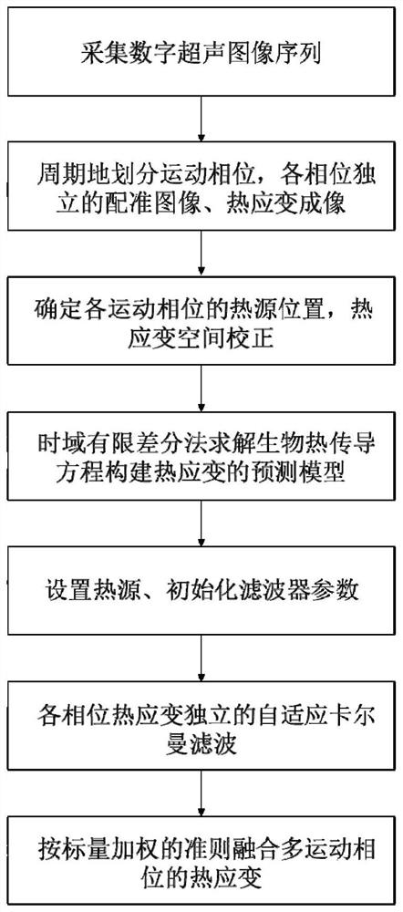 Multi-thread fusion living body ultrasonic thermal strain imaging method and device