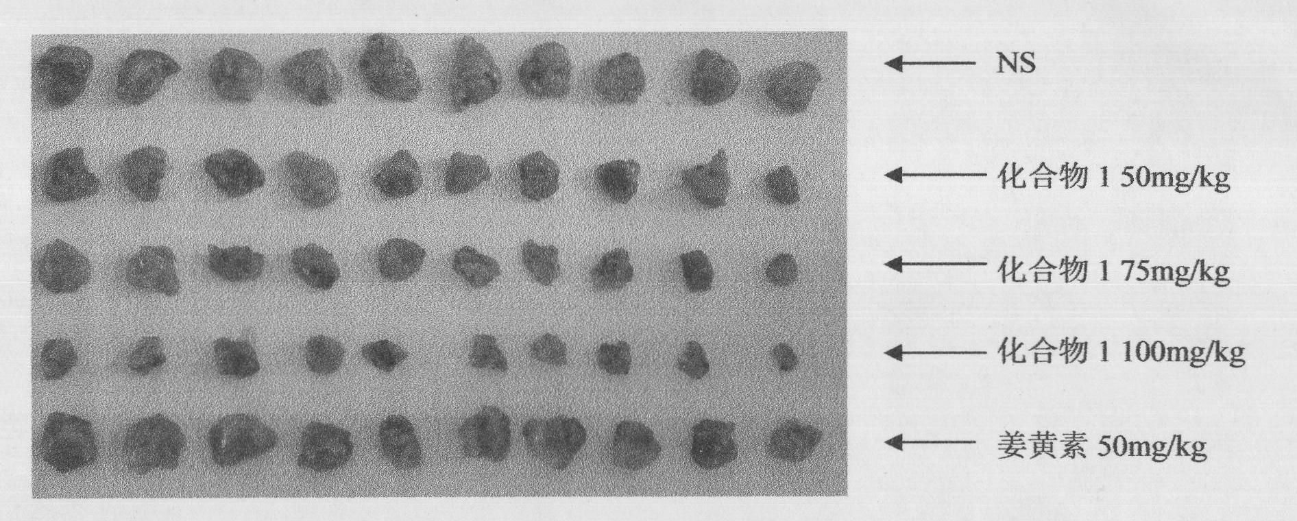 Phenylbutyryl curcumin derivate and application thereof in anti-tumor drug preparation