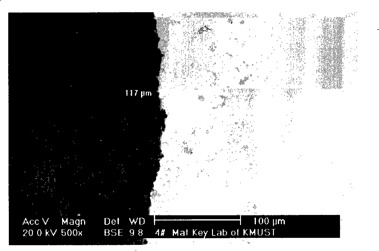 Method for preparing aluminum/lead system laminar composite material metallic phase example and display organization