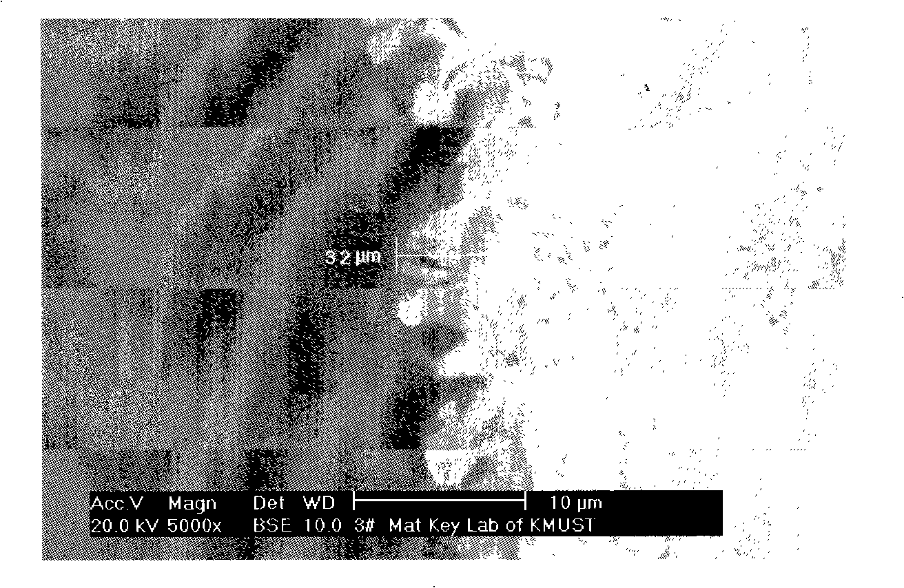 Method for preparing aluminum/lead system laminar composite material metallic phase example and display organization