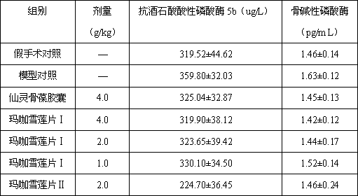 Food composition containing Maca and saussurea involucrata culture and application thereof