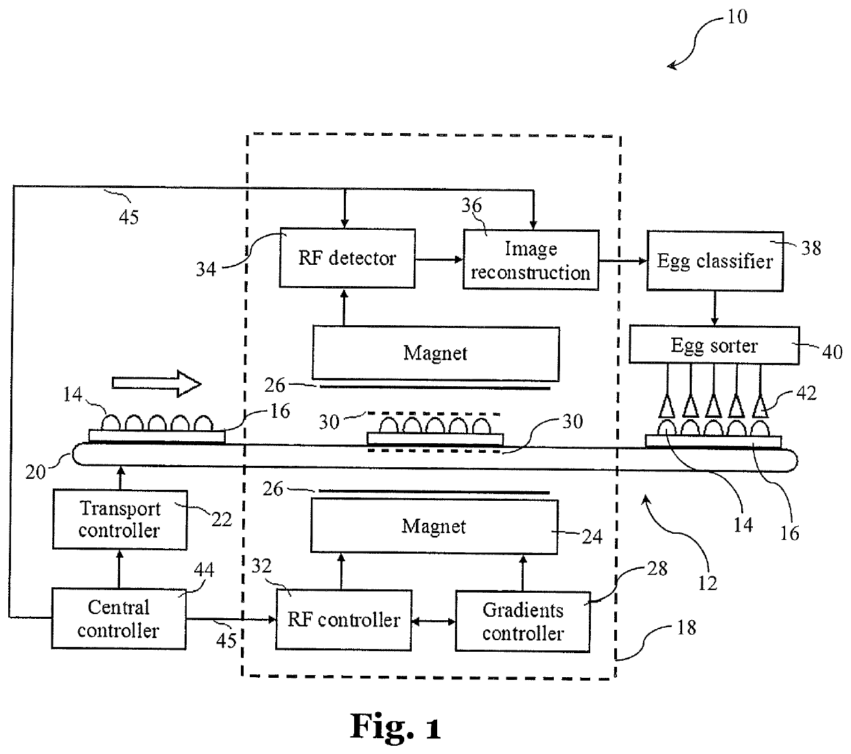 Automated Noninvasive Determining the Sex of an Embryo and the Fertility of a Bird's Egg