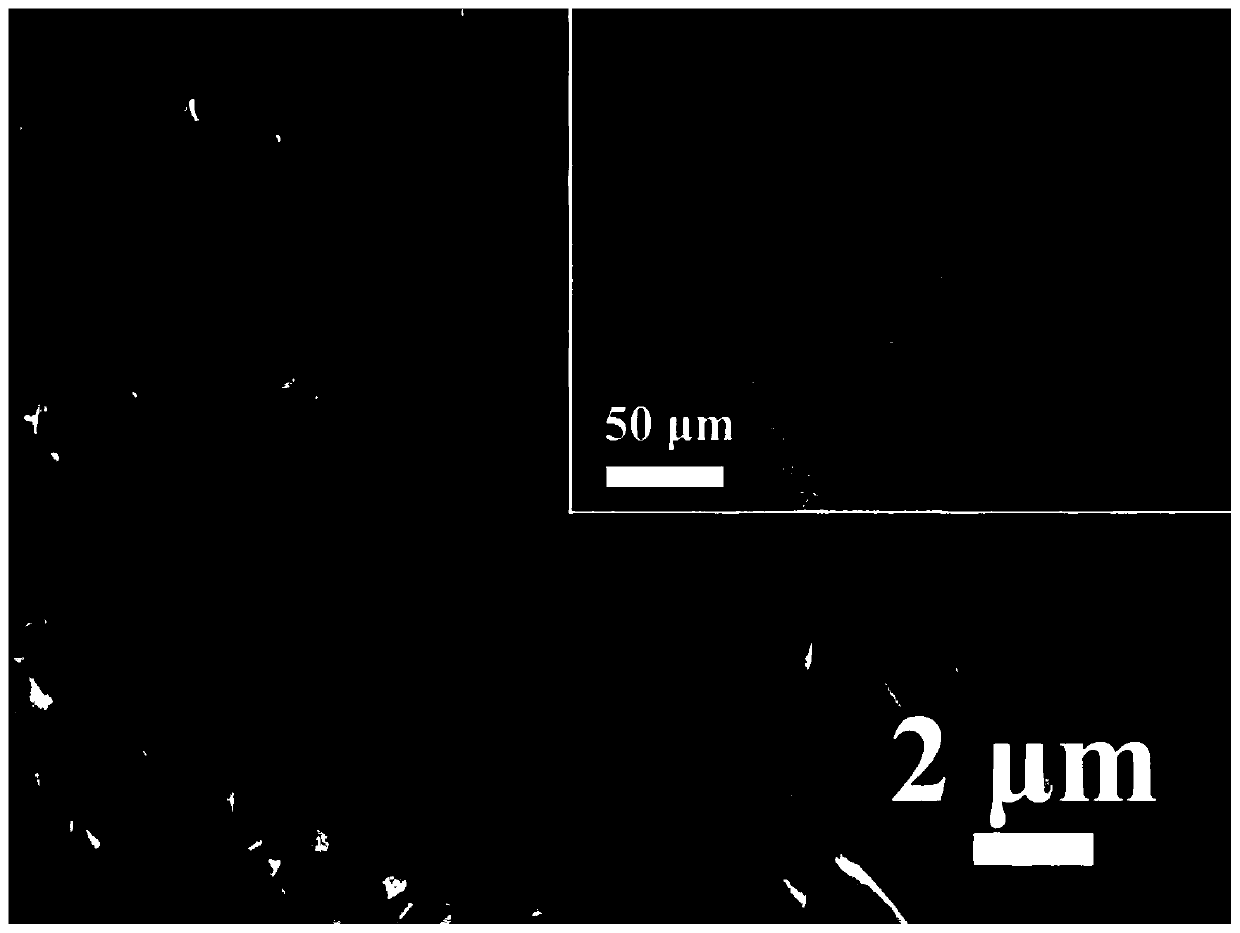 Hollow core-shell structure supercapacitor material Fe-Co-S/NF as well as preparation method and application thereof