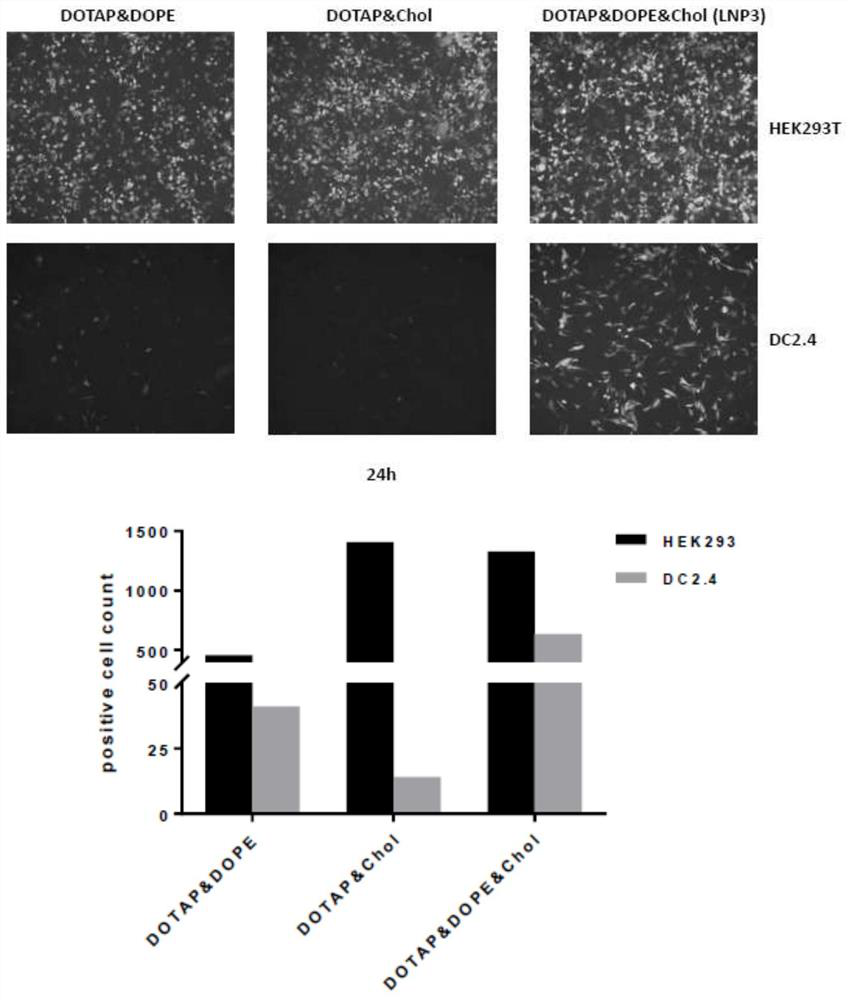 Lipid nanoparticle preparation and application thereof