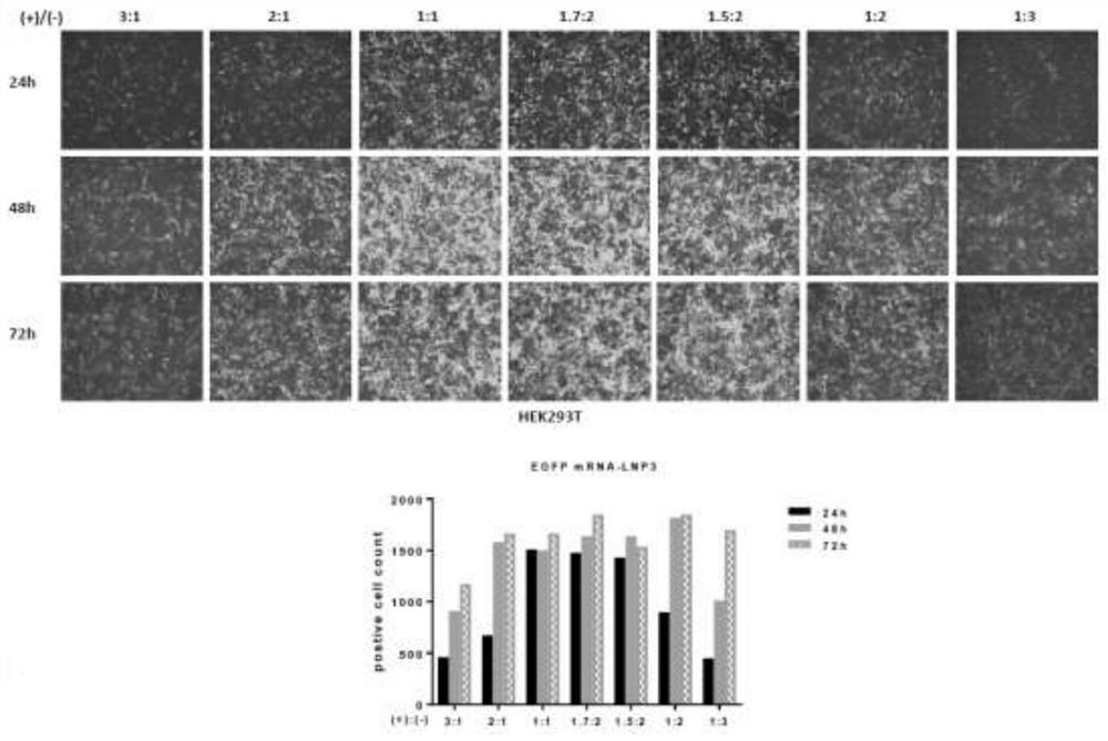 Lipid nanoparticle preparation and application thereof