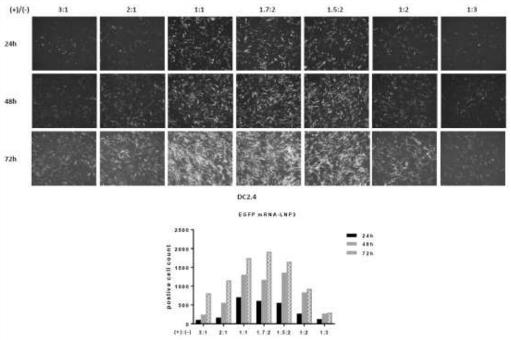 Lipid nanoparticle preparation and application thereof