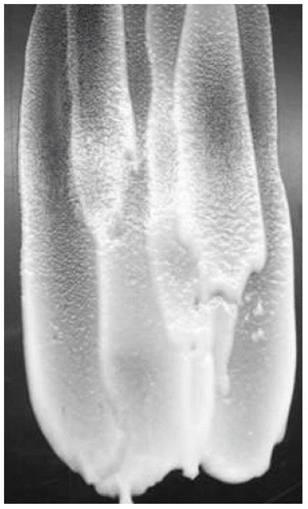 Thick fermented milk, raw material composition thereof and preparation method thereof