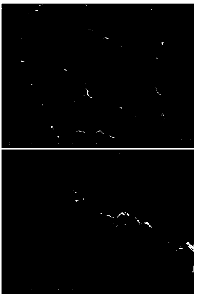 Nano-hydroxyapatite/silk fibroin composite membrane material and preparation method thereof