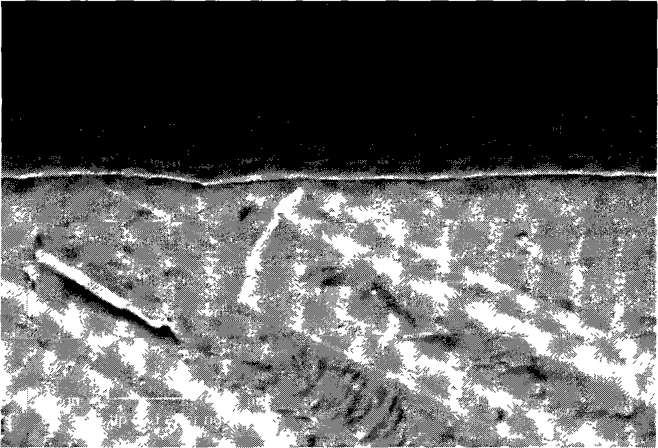 Nano-stack TiN gradient film and preparation thereof