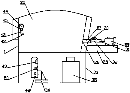 Multifunctional shoulder-carried orange collector