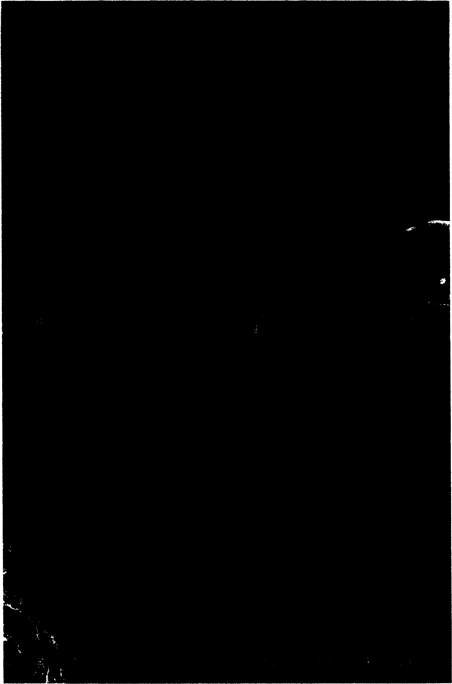 Nanometer metal or alloy composite material and preparation and usage thereof