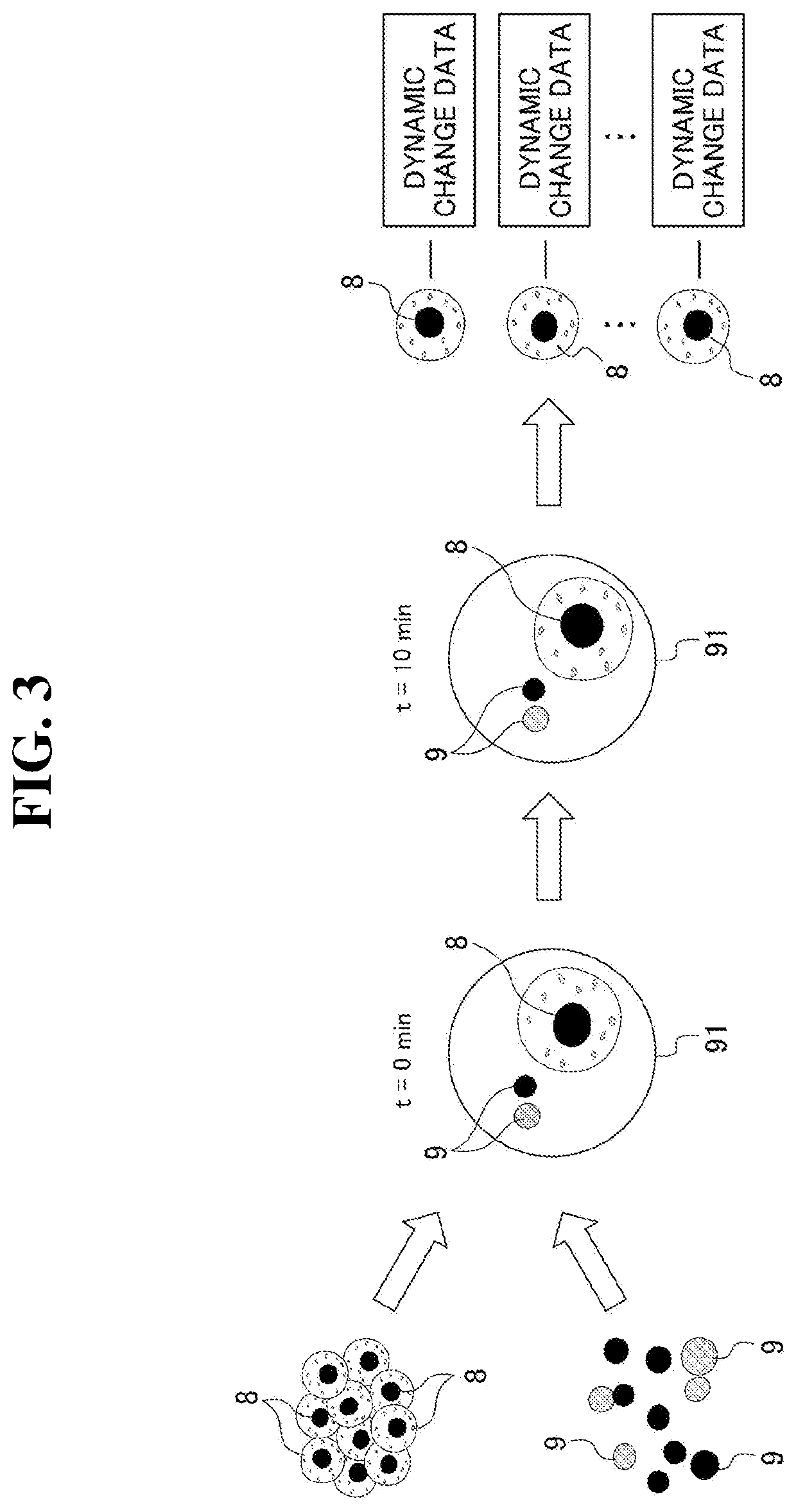 System and method for cell evaluation, and cell evaluation program