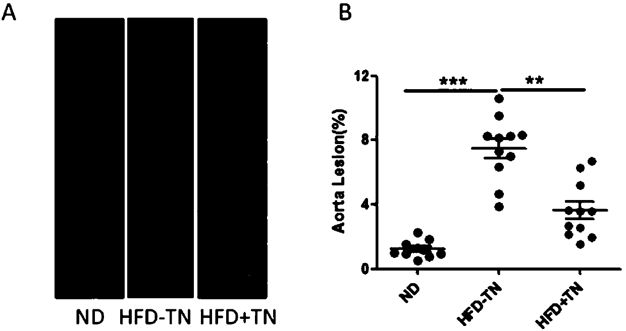 Application of triptonide