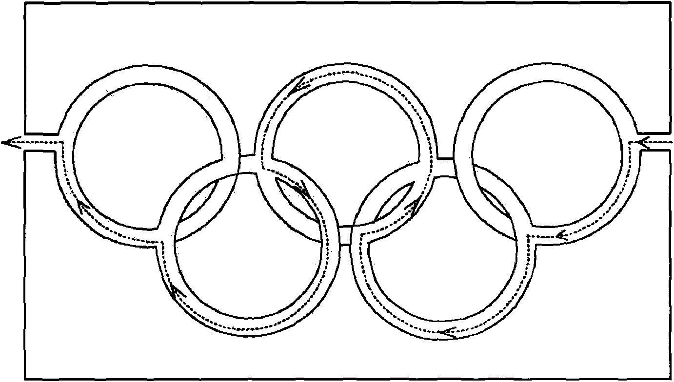 Vegetable maze and manufacturing method thereof