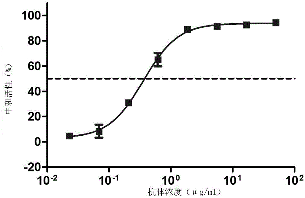 Monoclonal antibody Q206 and application