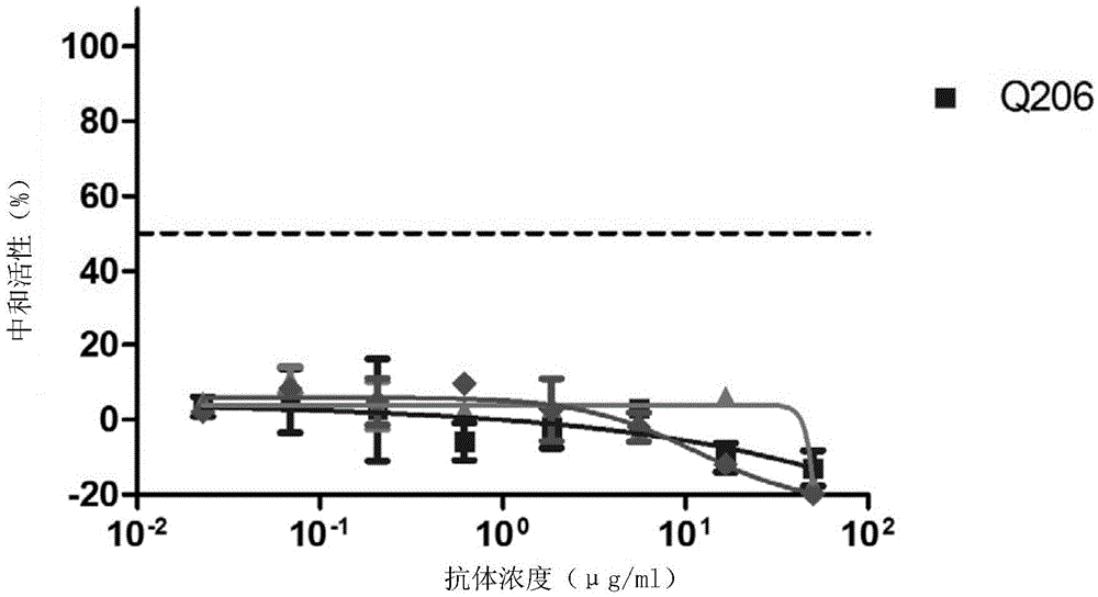 Monoclonal antibody Q206 and application