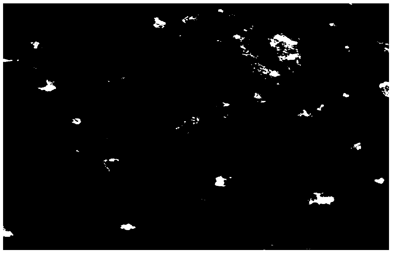 Psoralen-quercetin composite solid lipid nanoparticle preparation and preparation thereof