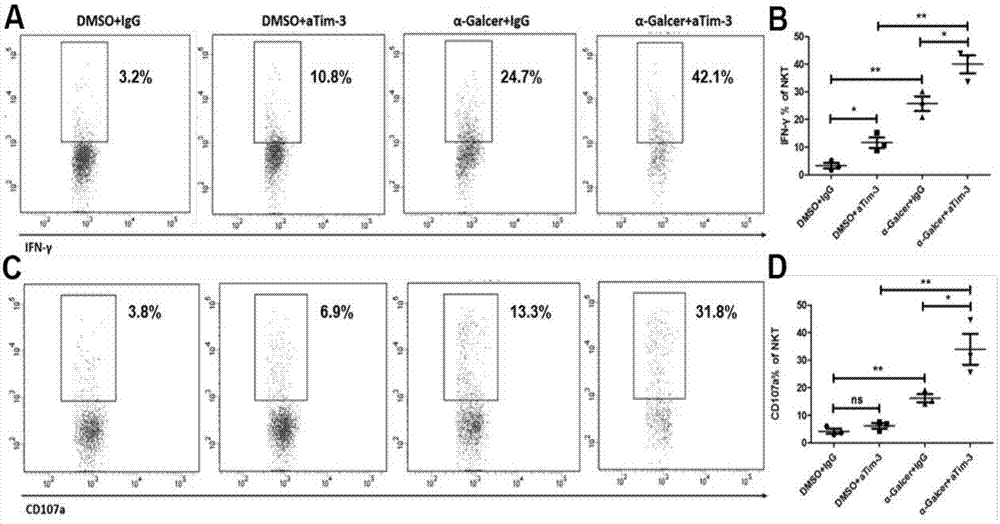 Reverse hepatitis B chronic virus infection Tim-3 antibody and alpha-galcer combination and application