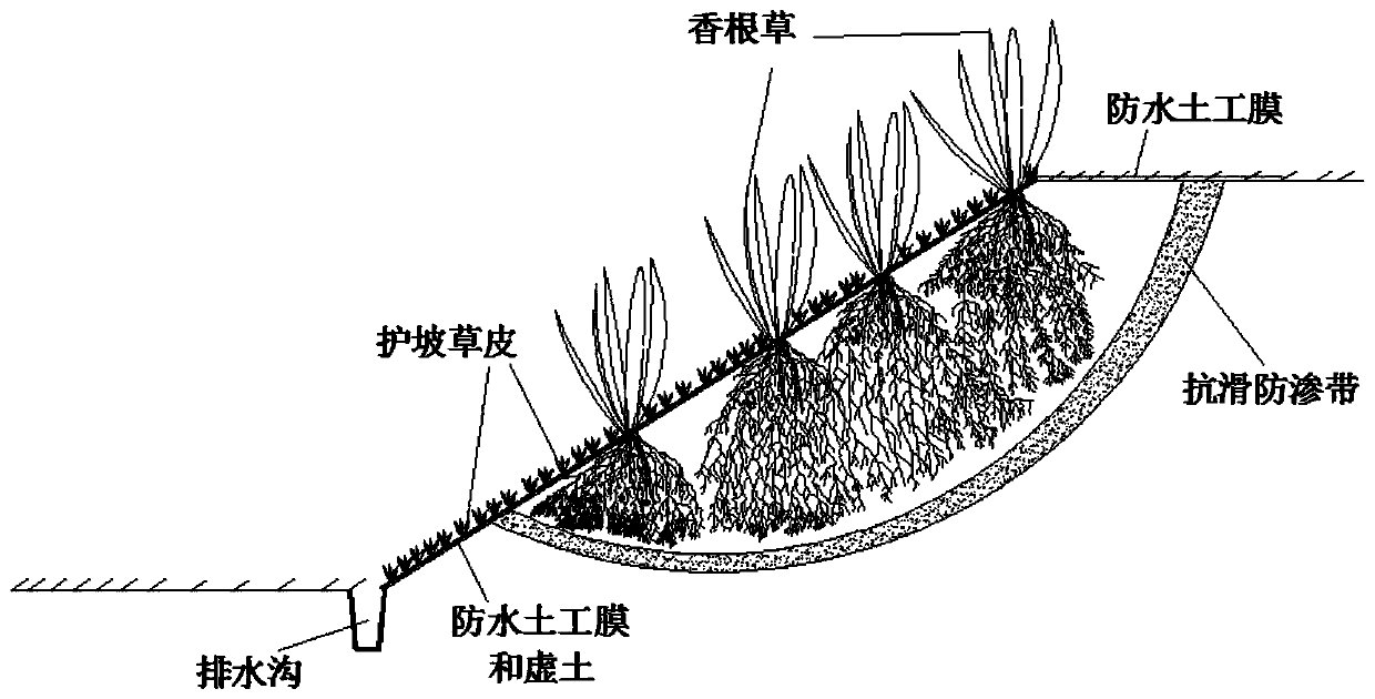 Ecological slope protection structure for preventing and controlling expansive soil slope sloughing and construction method