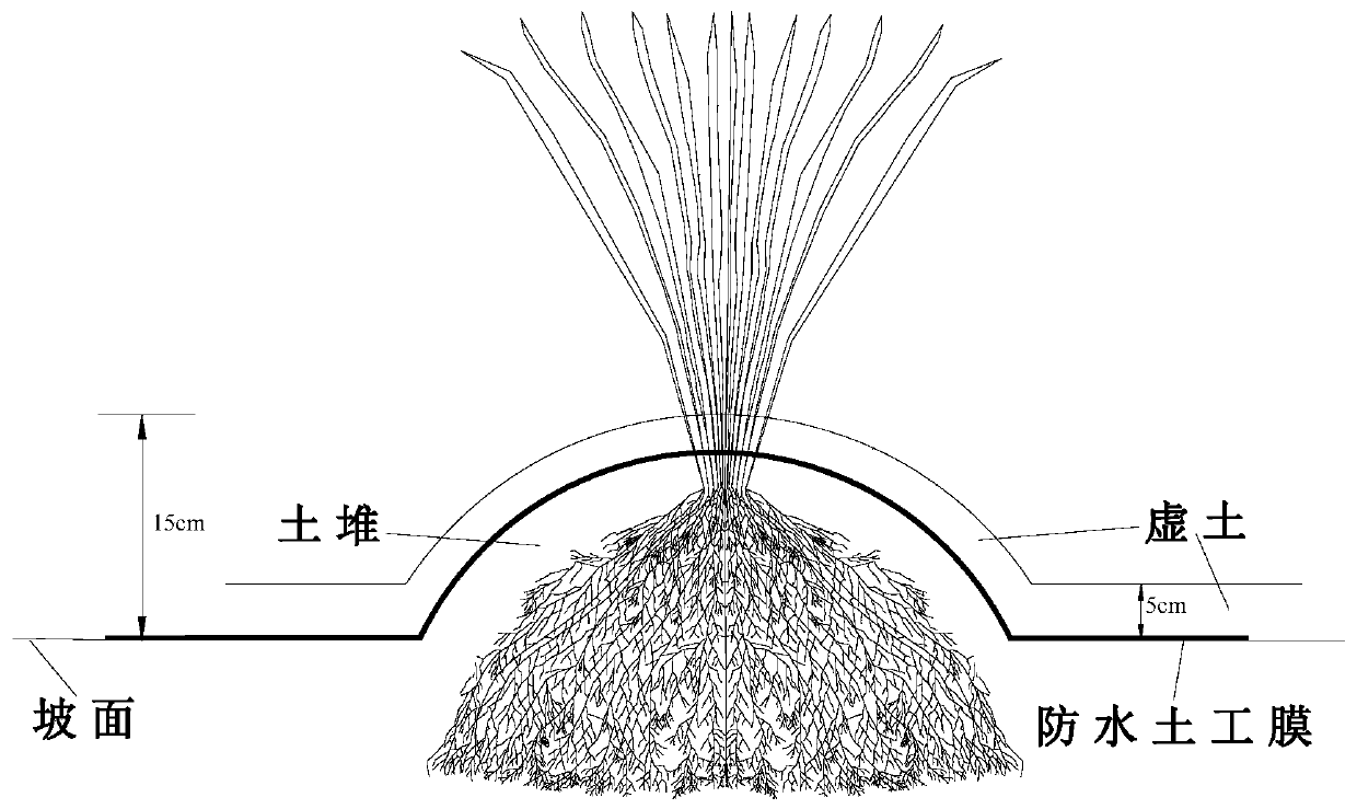 Ecological slope protection structure for preventing and controlling expansive soil slope sloughing and construction method