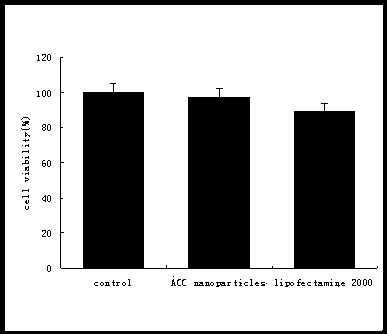 Preparation method of nano sulfonated graphene and application of nano sulfonated graphene as gene transfer material