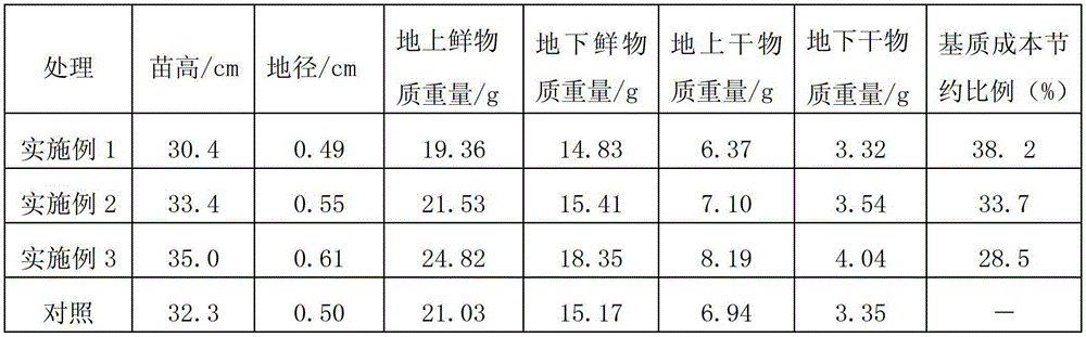 Cunninghamia lanceolata cultivation compound substrate and preparation method for same