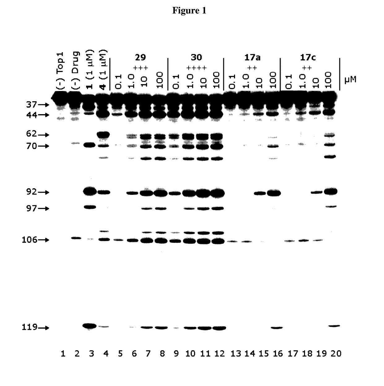 Alcohol-, diol-, and carbohydrate-substituted indenoisoquinolines as topoisomerase I inhibitors