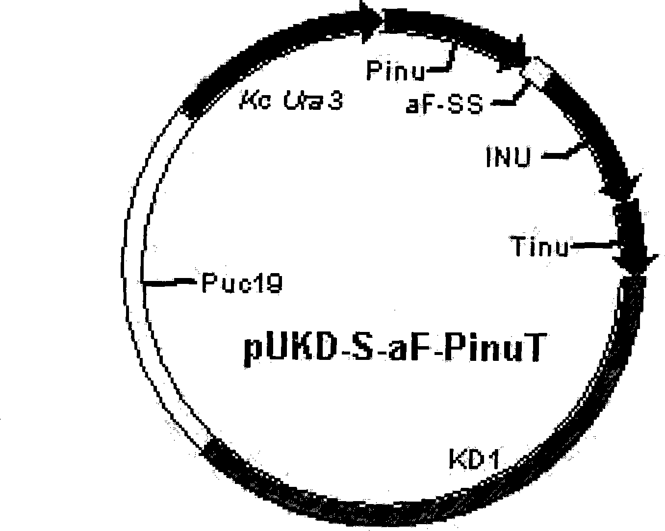 Method for improving expression level of recombinant protein in kluyveromyces