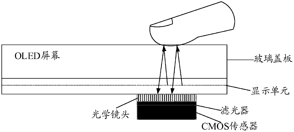 Fingerprint detecting device and terminal device having fingerprint recognition function