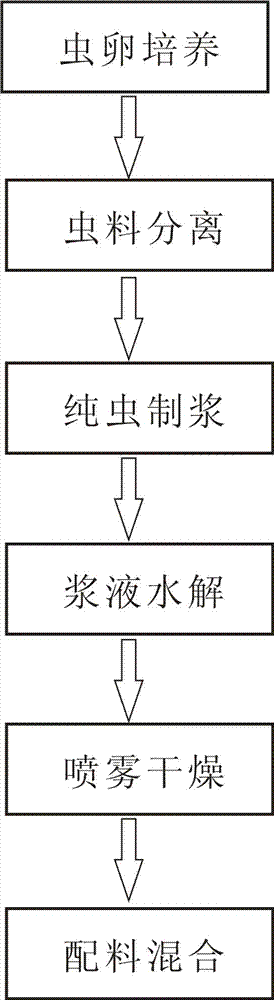 Technique for processing protein feed by insects