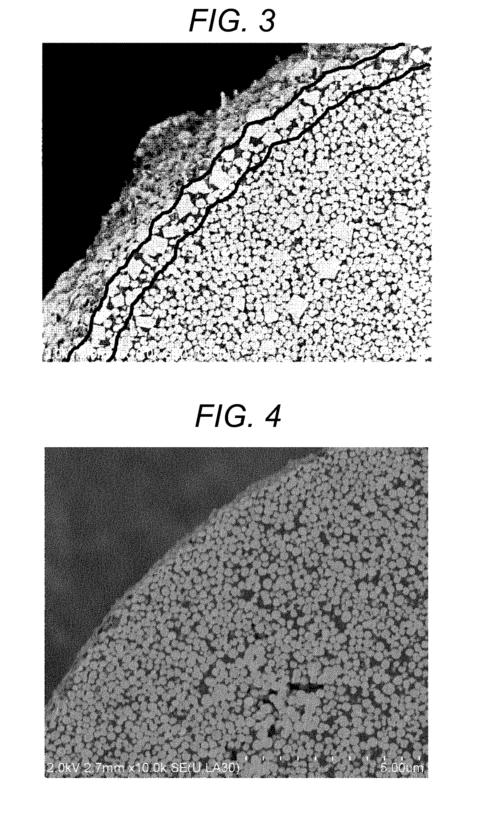 Magnetic carrier and two-component developer