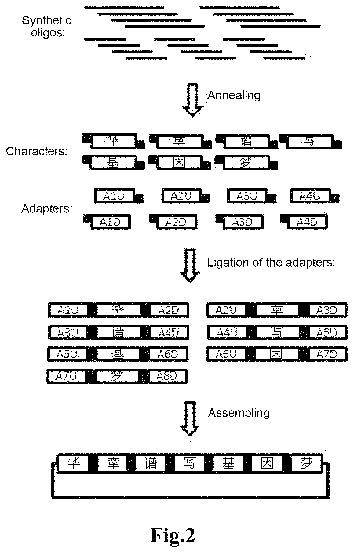 Method for using DNA to store text information, decoding method therefor and application thereof